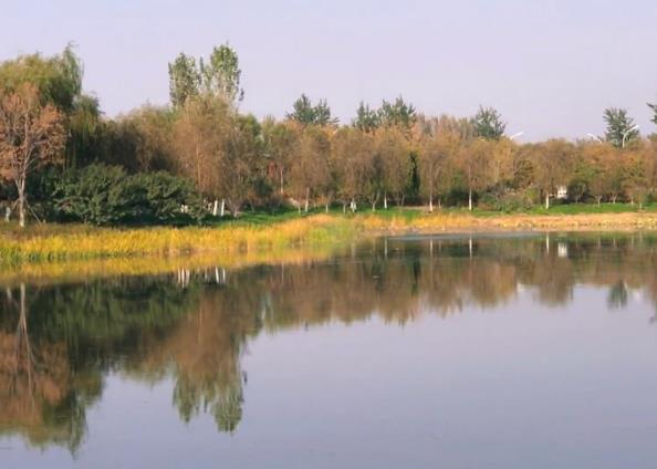 1-211206025222N4.jpg