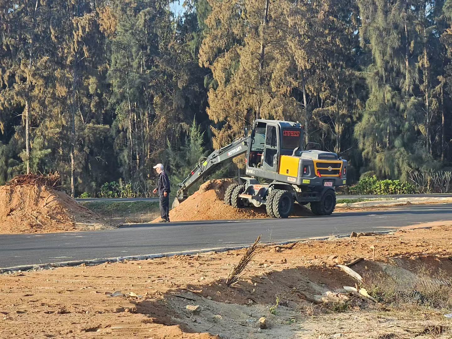 大树种植 (8).jpg