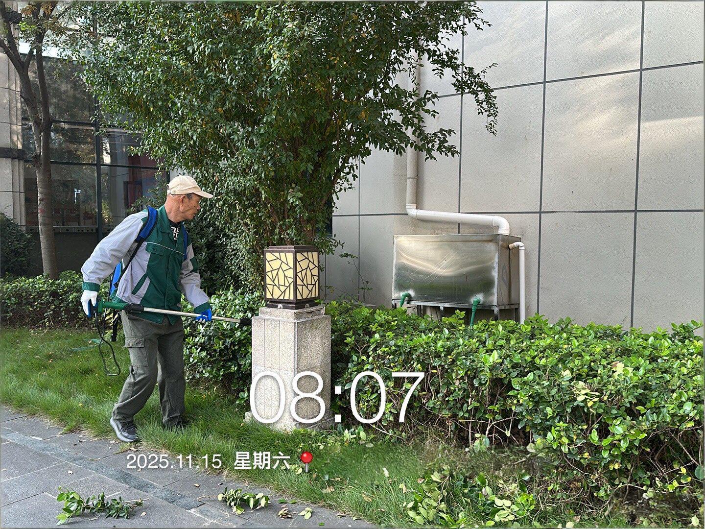 绿篱修剪